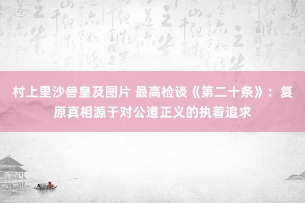 村上里沙兽皇及图片 最高检谈《第二十条》：复原真相源于对公道正义的执着追求