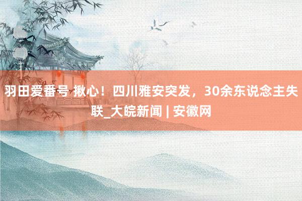 羽田爱番号 揪心！四川雅安突发，30余东说念主失联_大皖新闻 | 安徽网