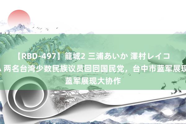 【RBD-497】籠城2 三浦あいか 澤村レイコ ASUKA 两名台湾少数民族议员回回国民党，台中市蓝军展现大协作