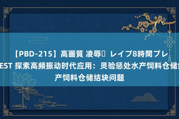 【PBD-215】高画質 凌辱・レイプ8時間プレミアムBEST 探索高频振动时代应用：灵验惩处水产饲料仓储结块问题