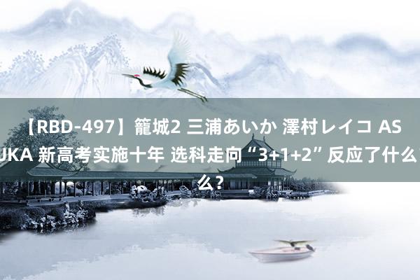 【RBD-497】籠城2 三浦あいか 澤村レイコ ASUKA 新高考实施十年 选科走向“3+1+2”反应了什么？