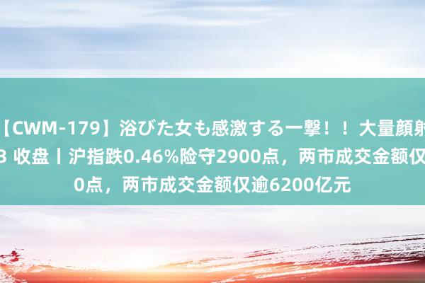 【CWM-179】浴びた女も感激する一撃！！大量顔射！！！ Part3 收盘丨沪指跌0.46%险守2900点，两市成交金额仅逾6200亿元