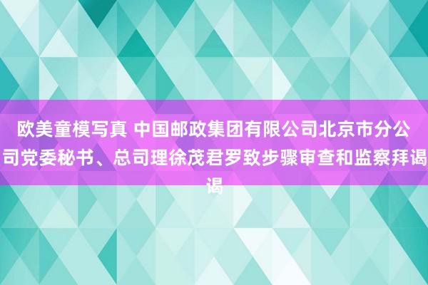 欧美童模写真 中国邮政集团有限公司北京市分公司党委秘书、总司理徐茂君罗致步骤审查和监察拜谒