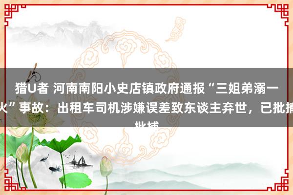 猎U者 河南南阳小史店镇政府通报“三姐弟溺一火”事故：出租车司机涉嫌误差致东谈主弃世，已批捕