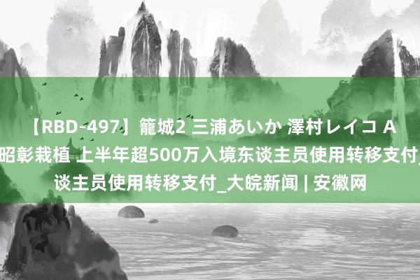 【RBD-497】籠城2 三浦あいか 澤村レイコ ASUKA 支付便利性昭彰栽植 上半年超500万入境东谈主员使用转移支付_大皖新闻 | 安徽网