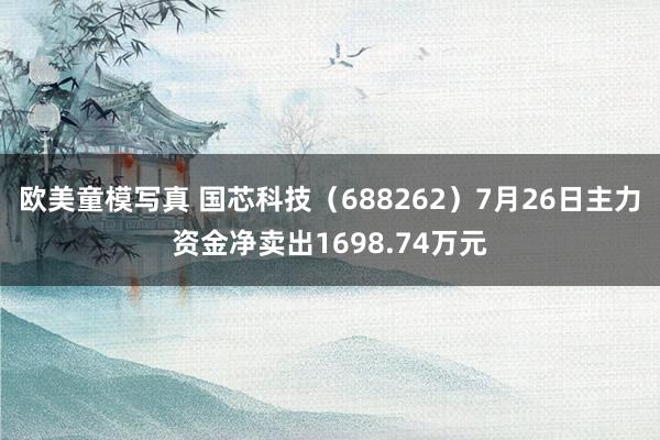 欧美童模写真 国芯科技（688262）7月26日主力资金净卖出1698.74万元