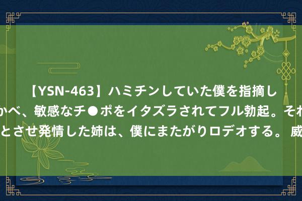 【YSN-463】ハミチンしていた僕を指摘しながらも含み笑いを浮かべ、敏感なチ●ポをイタズラされてフル勃起。それを見て目をトロ～ンとさせ発情した姉は、僕にまたがりロデオする。 威海栖霞街：百大哥街振奋更生，特点街区秀气开街