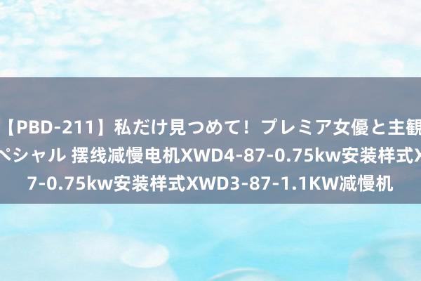 【PBD-211】私だけ見つめて！プレミア女優と主観でセックス8時間スペシャル 摆线减慢电机XWD4-87-0.75kw安装样式XWD3-87-1.1KW减慢机