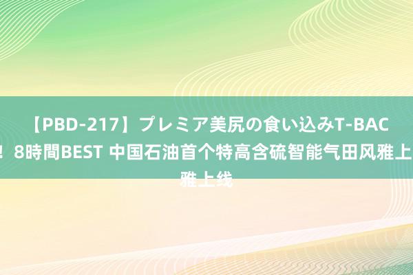 【PBD-217】プレミア美尻の食い込みT-BACK！8時間BEST 中国石油首个特高含硫智能气田风雅上线