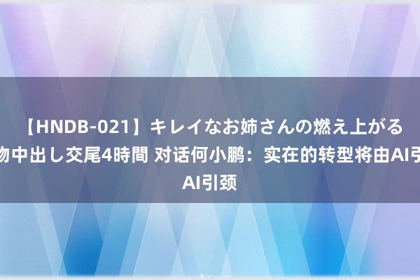 【HNDB-021】キレイなお姉さんの燃え上がる本物中出し交尾4時間 对话何小鹏：实在的转型将由AI引颈