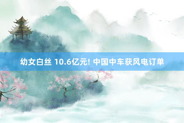 幼女白丝 10.6亿元! 中国中车获风电订单