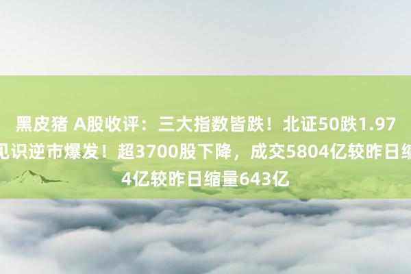 黑皮猪 A股收评：三大指数皆跌！北证50跌1.97%，免税见识逆市爆发！超3700股下降，成交5804亿较昨日缩量643亿