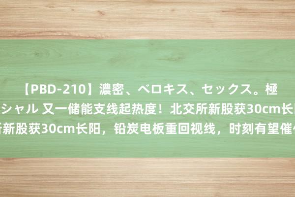 【PBD-210】濃密、ベロキス、セックス。極上接吻性交 8時間スペシャル 又一储能支线起热度！北交所新股获30cm长阳，铅炭电板重回视线，时刻有望催化降本上风