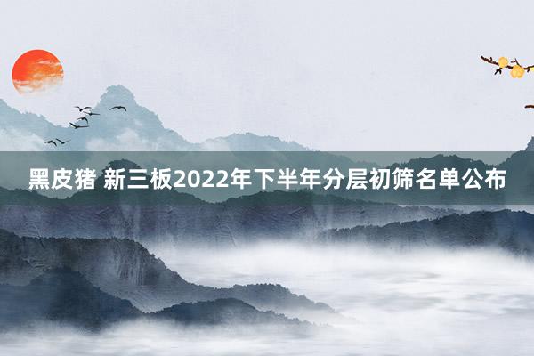 黑皮猪 新三板2022年下半年分层初筛名单公布