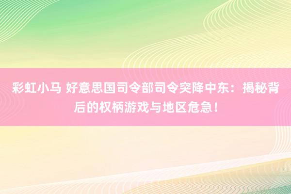 彩虹小马 好意思国司令部司令突降中东：揭秘背后的权柄游戏与地区危急！