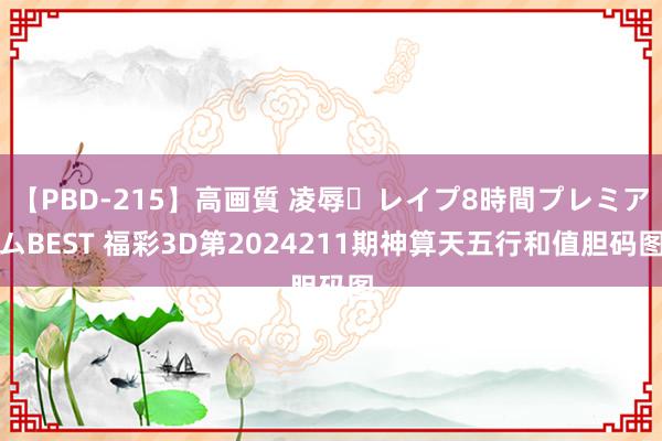 【PBD-215】高画質 凌辱・レイプ8時間プレミアムBEST 福彩3D第2024211期神算天五行和值胆码图