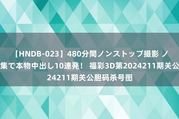 【HNDB-023】480分間ノンストップ撮影 ノーカット編集で本物中出し10連発！ 福彩3D第2024211期关公胆码杀号图