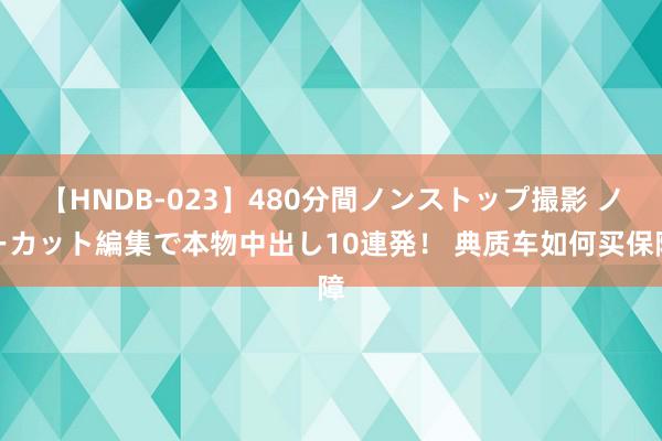 【HNDB-023】480分間ノンストップ撮影 ノーカット編集で本物中出し10連発！ 典质车如何买保障