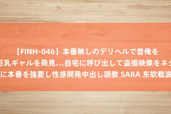 【FINH-046】本番無しのデリヘルで昔俺をバカにしていた同級生の巨乳ギャルを発見…自宅に呼び出して盗撮映像をネタに本番を強要し性感開発中出し調教 SARA 东软载波：8月13日召开董事会会议