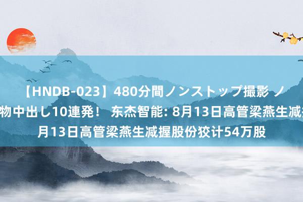 【HNDB-023】480分間ノンストップ撮影 ノーカット編集で本物中出し10連発！ 东杰智能: 8月13日高管梁燕生减握股份狡计54万股