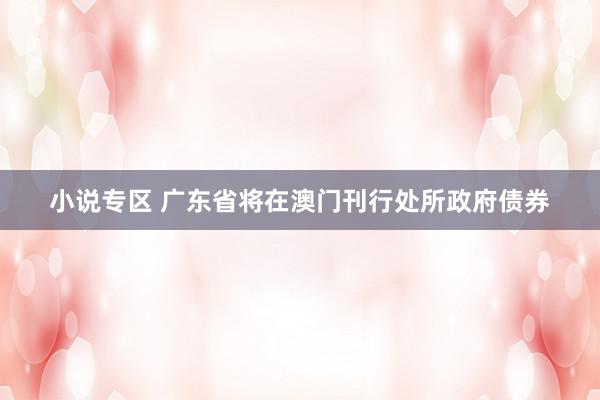 小说专区 广东省将在澳门刊行处所政府债券