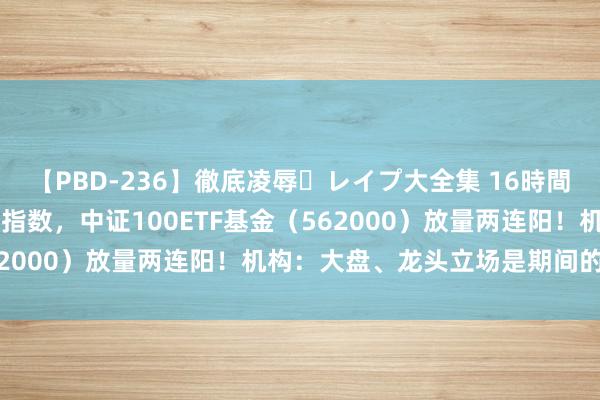 【PBD-236】徹底凌辱・レイプ大全集 16時間 第2集 大权重龙头力挺指数，中证100ETF基金（562000）放量两连阳！机构：大盘、龙头立场是期间的beta