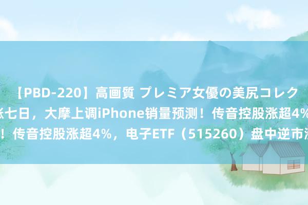 【PBD-220】高画質 プレミア女優の美尻コレクション8時間 苹果连涨七日，大摩上调iPhone销量预测！传音控股涨超4%，电子ETF（515260）盘中逆市涨近1%