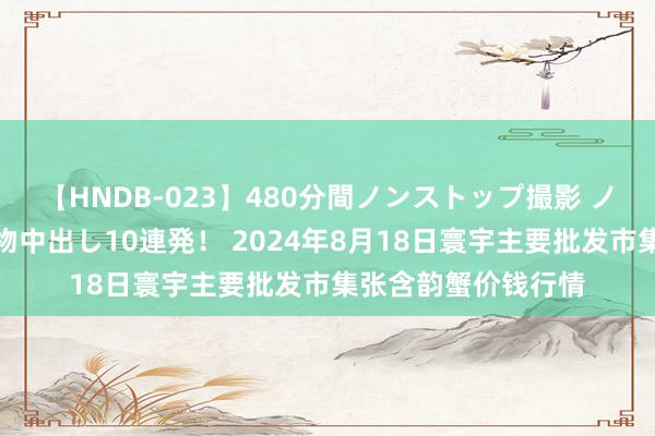 【HNDB-023】480分間ノンストップ撮影 ノーカット編集で本物中出し10連発！ 2024年8月18日寰宇主要批发市集张含韵蟹价钱行情