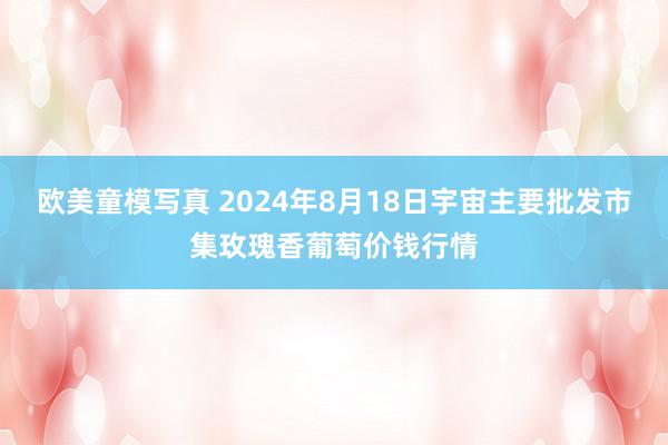 欧美童模写真 2024年8月18日宇宙主要批发市集玫瑰香葡萄价钱行情