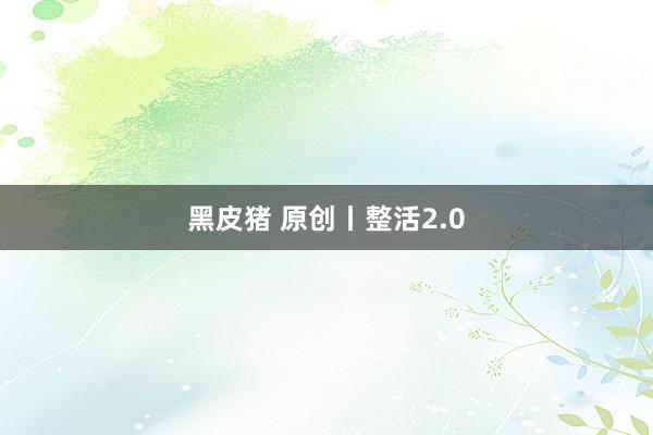 黑皮猪 原创丨整活2.0