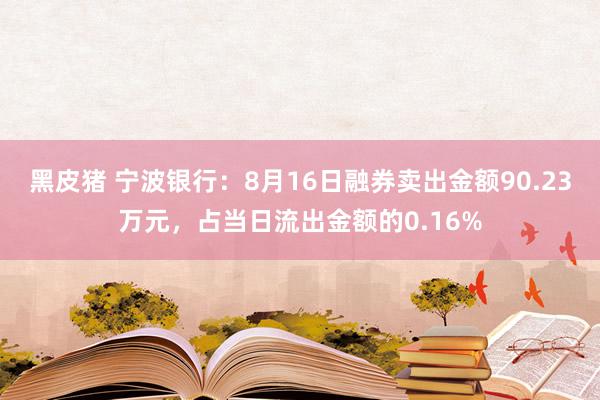 黑皮猪 宁波银行：8月16日融券卖出金额90.23万元，占当日流出金额的0.16%