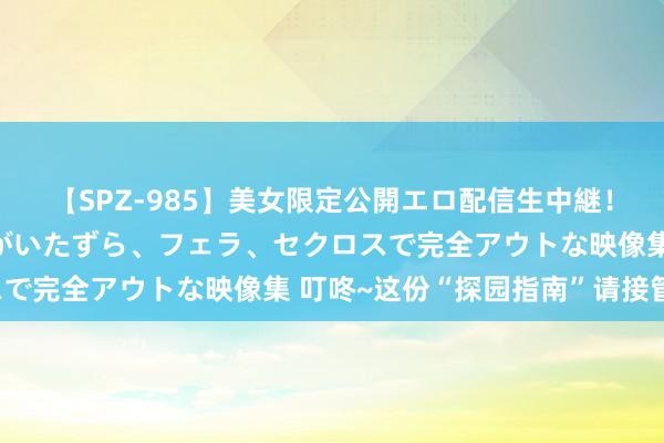 【SPZ-985】美女限定公開エロ配信生中継！素人娘、カップルたちがいたずら、フェラ、セクロスで完全アウトな映像集 叮咚~这份“探园指南”请接管！