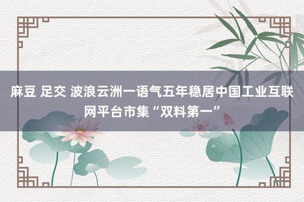 麻豆 足交 波浪云洲一语气五年稳居中国工业互联网平台市集“双料第一”