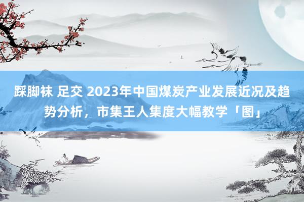 踩脚袜 足交 2023年中国煤炭产业发展近况及趋势分析，市集王人集度大幅教学「图」