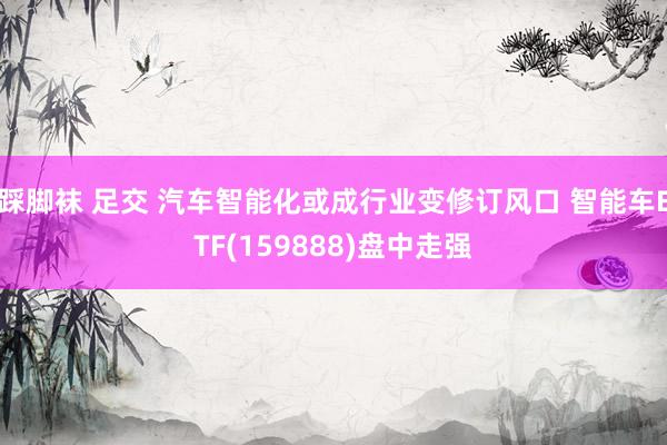 踩脚袜 足交 汽车智能化或成行业变修订风口 智能车ETF(159888)盘中走强