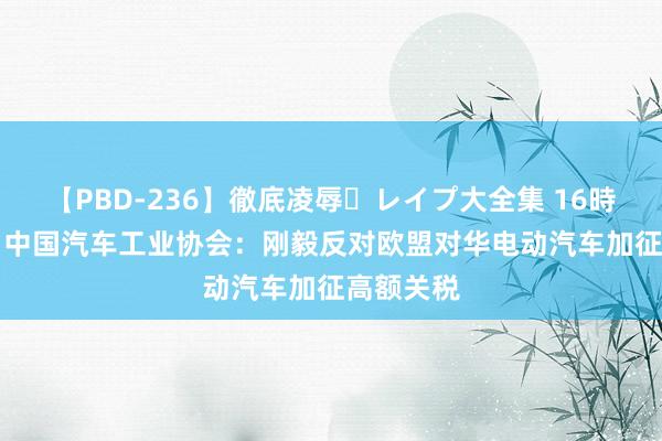 【PBD-236】徹底凌辱・レイプ大全集 16時間 第2集 中国汽车工业协会：刚毅反对欧盟对华电动汽车加征高额关税