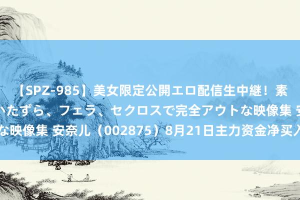 【SPZ-985】美女限定公開エロ配信生中継！素人娘、カップルたちがいたずら、フェラ、セクロスで完全アウトな映像集 安奈儿（002875）8月21日主力资金净买入90.97万元