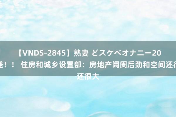 【VNDS-2845】熟妻 どスケベオナニー20連発！！ 住房和城乡设置部：房地产阛阓后劲和空间还很大