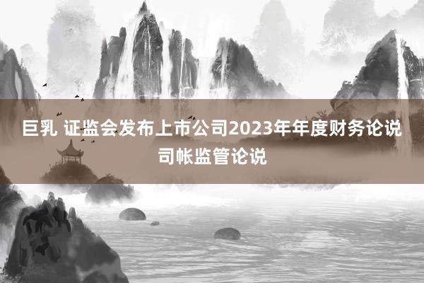 巨乳 证监会发布上市公司2023年年度财务论说司帐监管论说