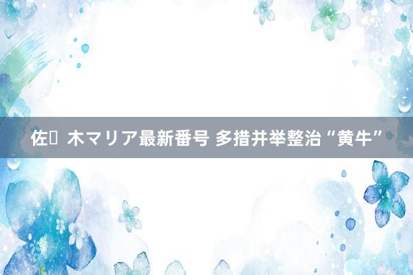 佐々木マリア最新番号 多措并举整治“黄牛”