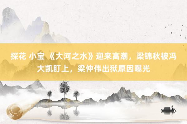 探花 小宝 《大河之水》迎来高潮，梁锦秋被冯大凯盯上，梁仲伟出狱原因曝光