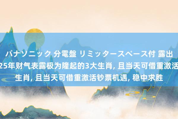パナソニック 分電盤 リミッタースペース付 露出・半埋込両用形 2025年财气表露极为隆起的3大生肖, 且当天可借重激活钞票机遇, 稳中求胜