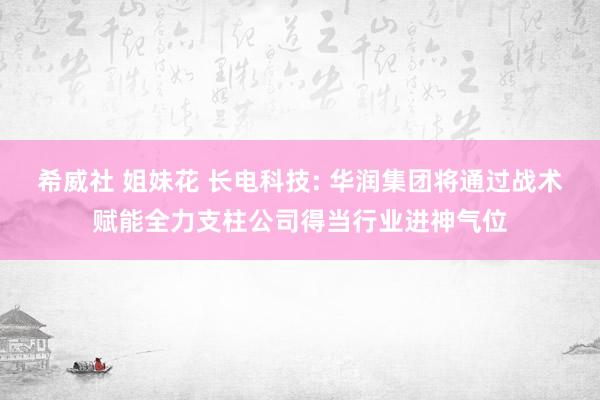 希威社 姐妹花 长电科技: 华润集团将通过战术赋能全力支柱公司得当行业进神气位